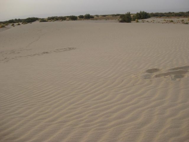 i/Family/Djerba/Safari - Djerba 2009 199.jpg_640.jpg